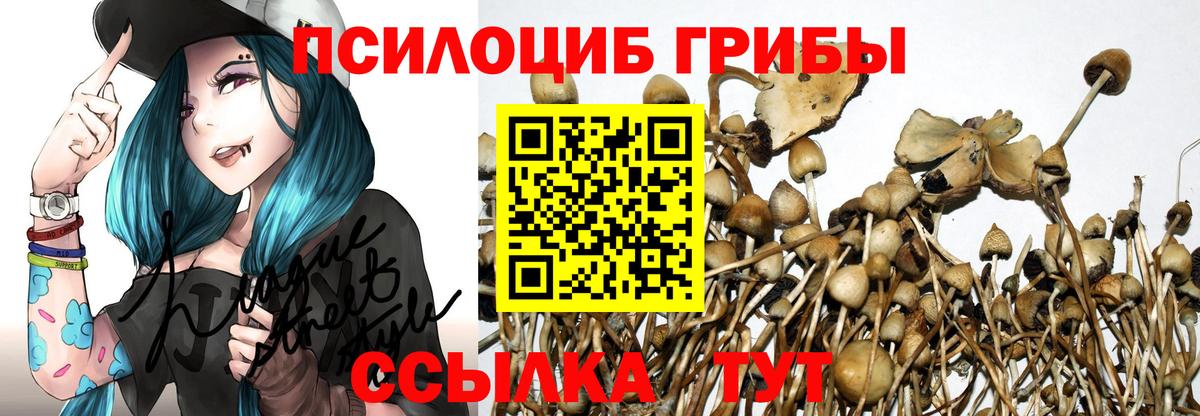 Галлюциногенные грибы Cubensis  Вход с VPN  Добрянка 